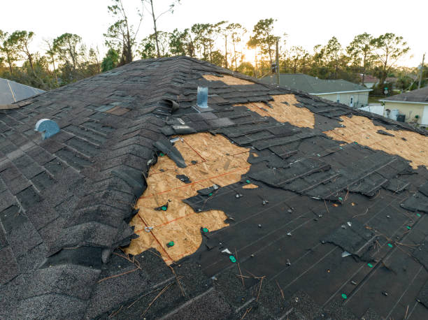 Best Solar Panel Roofing Installation  in Mount Angel, OR